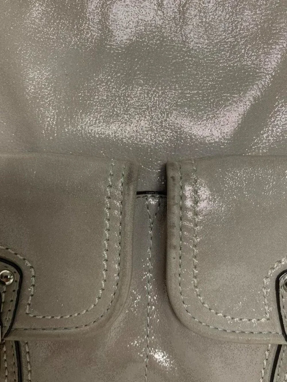 Coach Metallic Silver/Pewter